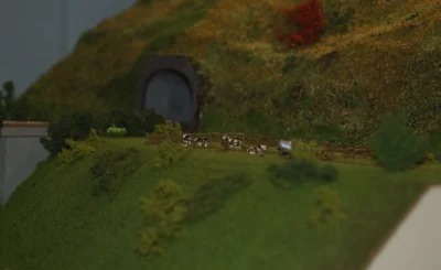 008 Kuhweide am Talrand und &Uuml;bergang zum n&auml;chsten Modul  (Bild vergr&ouml;&szlig;ern)