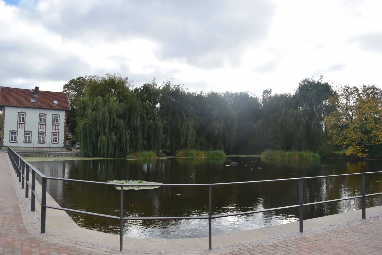 Bild der Galerie
