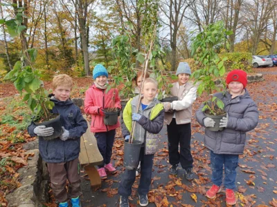 Foto des Albums: Beerensträucher für die Schulhäuser in Hollstadt und Wollbach