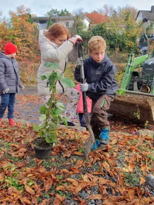 Foto des Albums: Beerensträucher für die Schulhäuser in Hollstadt und Wollbach