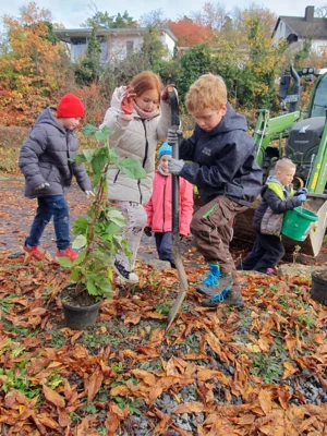 Foto des Albums: Beerensträucher für die Schulhäuser in Hollstadt und Wollbach