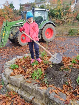 Foto des Albums: Beerensträucher für die Schulhäuser in Hollstadt und Wollbach