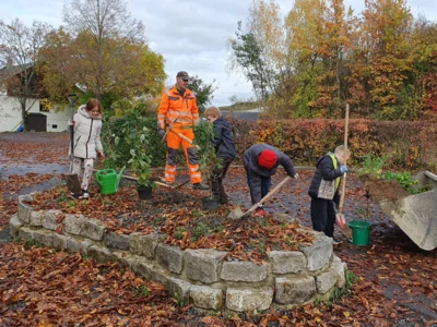 Foto des Albums: Beerensträucher für die Schulhäuser in Hollstadt und Wollbach