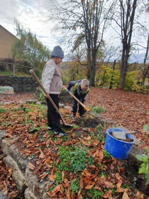 Foto des Albums: Beerensträucher für die Schulhäuser in Hollstadt und Wollbach
