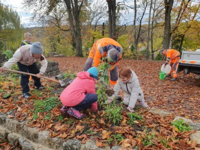 Foto des Albums: Beerensträucher für die Schulhäuser in Hollstadt und Wollbach