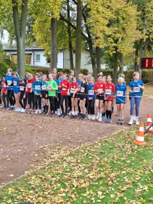 Foto des Albums: Brandenburger Crosslaufmeisterschaften