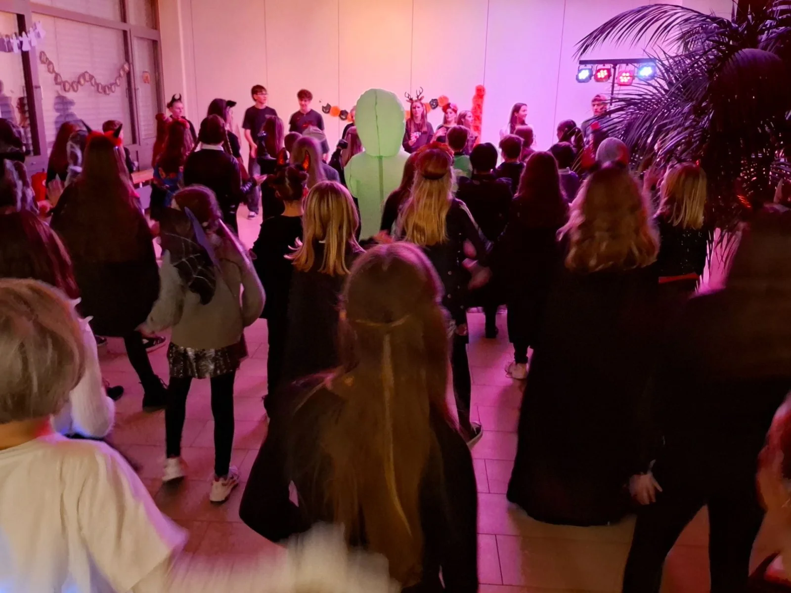 Bild der Galerie
