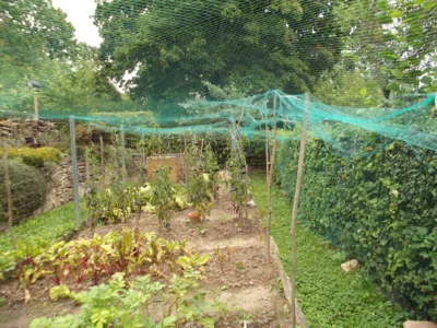 Foto des Albums: Gartenbegehung 2025
