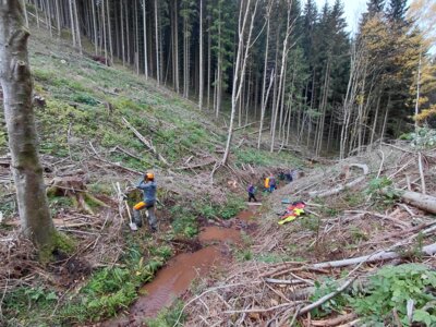 20251101 ART Arbeitseinsatz Friedrichroda Feuersalamander KK (1) 