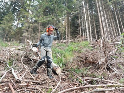 20251101 ART Arbeitseinsatz Friedrichroda Feuersalamander KK (6) 