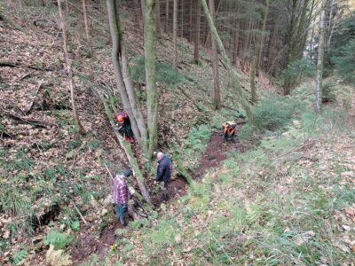20251101 ART Arbeitseinsatz Friedrichroda Feuersalamander KK (19) 