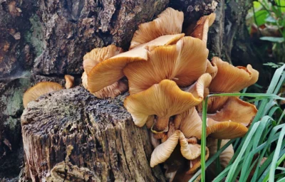 Gewagter Blick von unten 