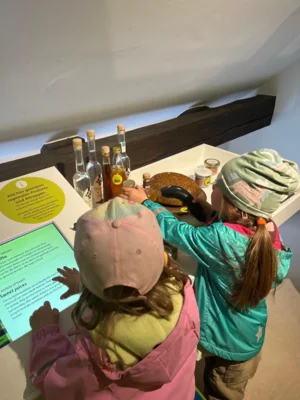 Foto des Albums: Familienwandertag 2025