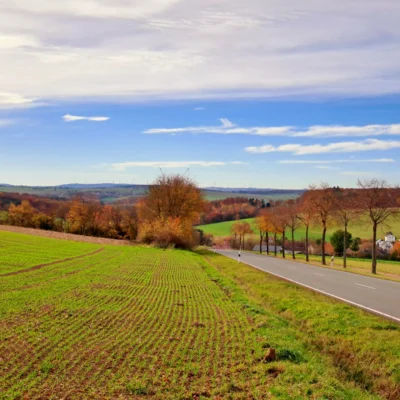 Vom Brandholz kommend mittags klare Sicht bis zu den Windr&auml;dern im Hunsr&uuml;ck  (Bild vergr&ouml;&szlig;ern)