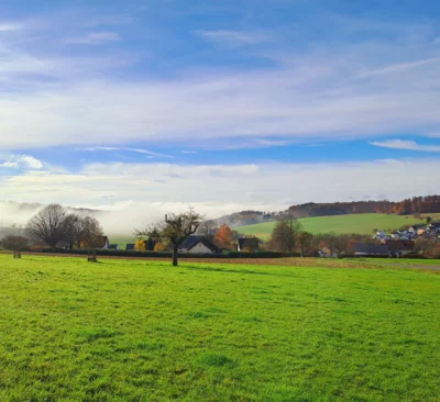 nur noch Nebel &uuml;ber dem Miehlener Becken am M&uuml;hlbach  (Bild vergr&ouml;&szlig;ern)