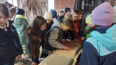 Foto des Albums: Kartoffelprojekt in der Klasse 4b