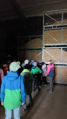 Foto des Albums: Kartoffelprojekt in der Klasse 4b