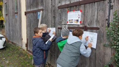 Foto des Albums: Kartoffelprojekt in der Klasse 4b