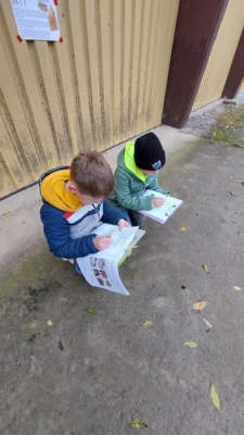 Foto des Albums: Kartoffelprojekt in der Klasse 4b