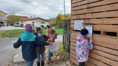 Foto des Albums: Kartoffelprojekt in der Klasse 4b