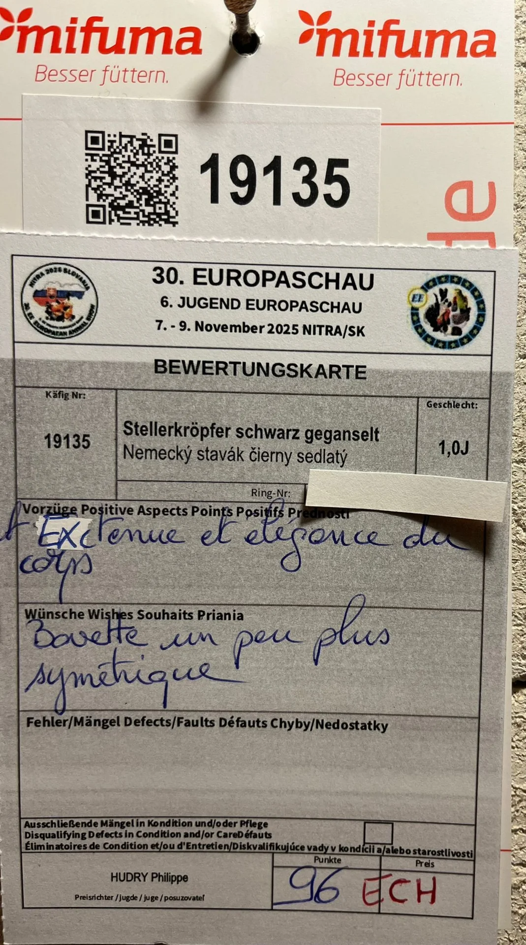 Bild: Bewertungskarte Bsp