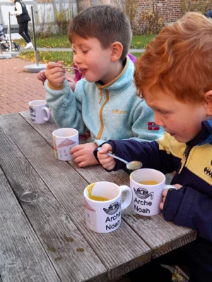Foto des Albums: Kürbissuppe