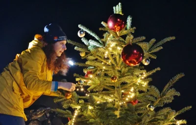 Das sieht nach Millimeterarbeit aus 