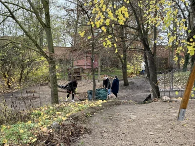 Foto des Albums: Arbeitseinsatz