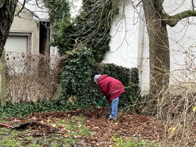 Foto des Albums: Arbeitseinsatz