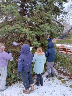 Foto des Albums: Weihnachtsbaum in Kummer