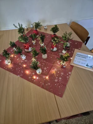 Foto des Albums: Weihnachtsgala 2025