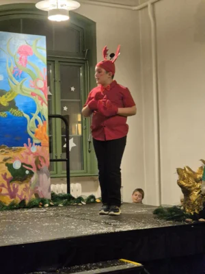 Foto des Albums: Weihnachtsgala 2025