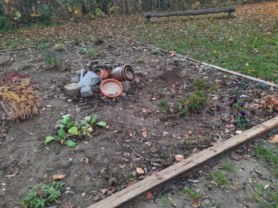 Bl&uuml;hwiese mit Sandarium  (Bild vergr&ouml;&szlig;ern)