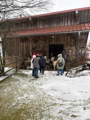 Foto des Albums: AlpakaAusflug 2025