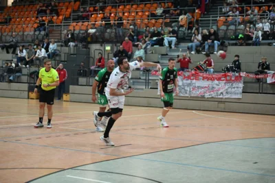Foto des Albums: 251130_HCE-Aschersleben