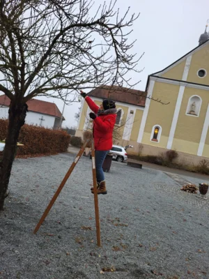 Foto des Albums: Pfarradvent in Riekofen 2025