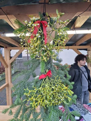 Foto des Albums: Adventsmarkt 2025
