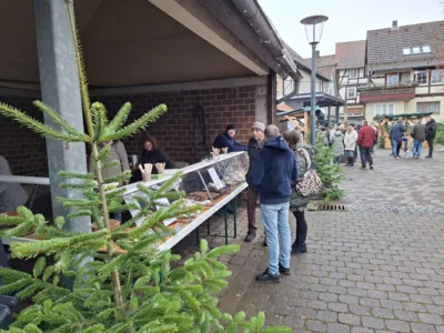 Foto des Albums: Adventsmarkt 2025
