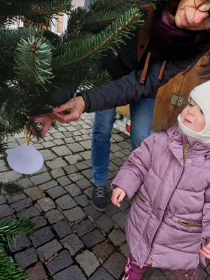 Foto des Albums: Wir schmücken die Weihnachtsbäume