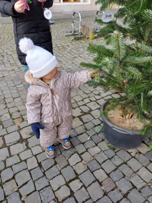 Foto des Albums: Wir schmücken die Weihnachtsbäume