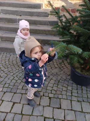 Foto des Albums: Wir schmücken die Weihnachtsbäume
