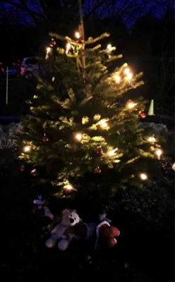 Foto des Albums: Nikolaus besuchte  Jung und Alt an der  Grillhütte