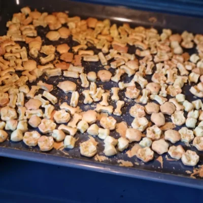 Hunderleckerchen selber machen 