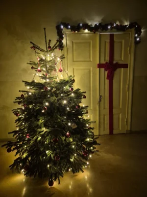 Foto des Albums: Weihnachtszeit in unserer Schule