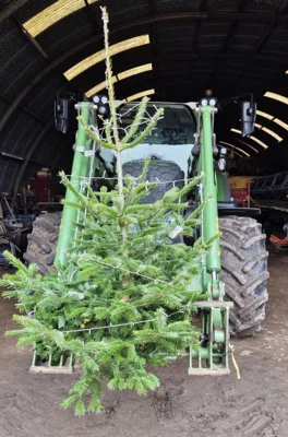 Christian Saggaus Trecker trug den Baum 