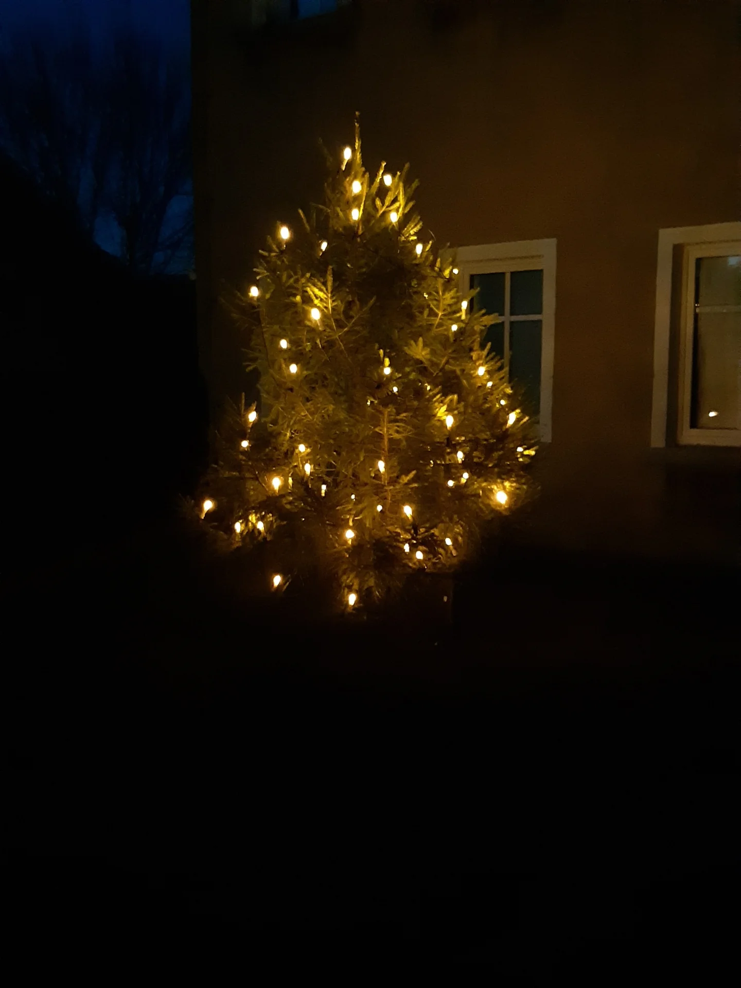 Bild: Unser kleiner Weihnachtsbaum
