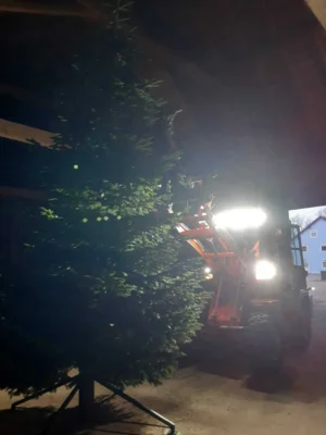 Foto des Albums: Christbäume aufstellen/schmücken 2025