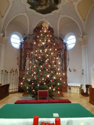 Foto des Albums: Christbäume aufstellen/schmücken 2025