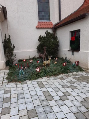 Foto des Albums: Christbäume aufstellen/schmücken 2025