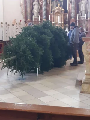 Foto des Albums: Christbäume aufstellen/schmücken 2025